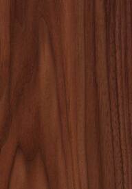 American Walnut